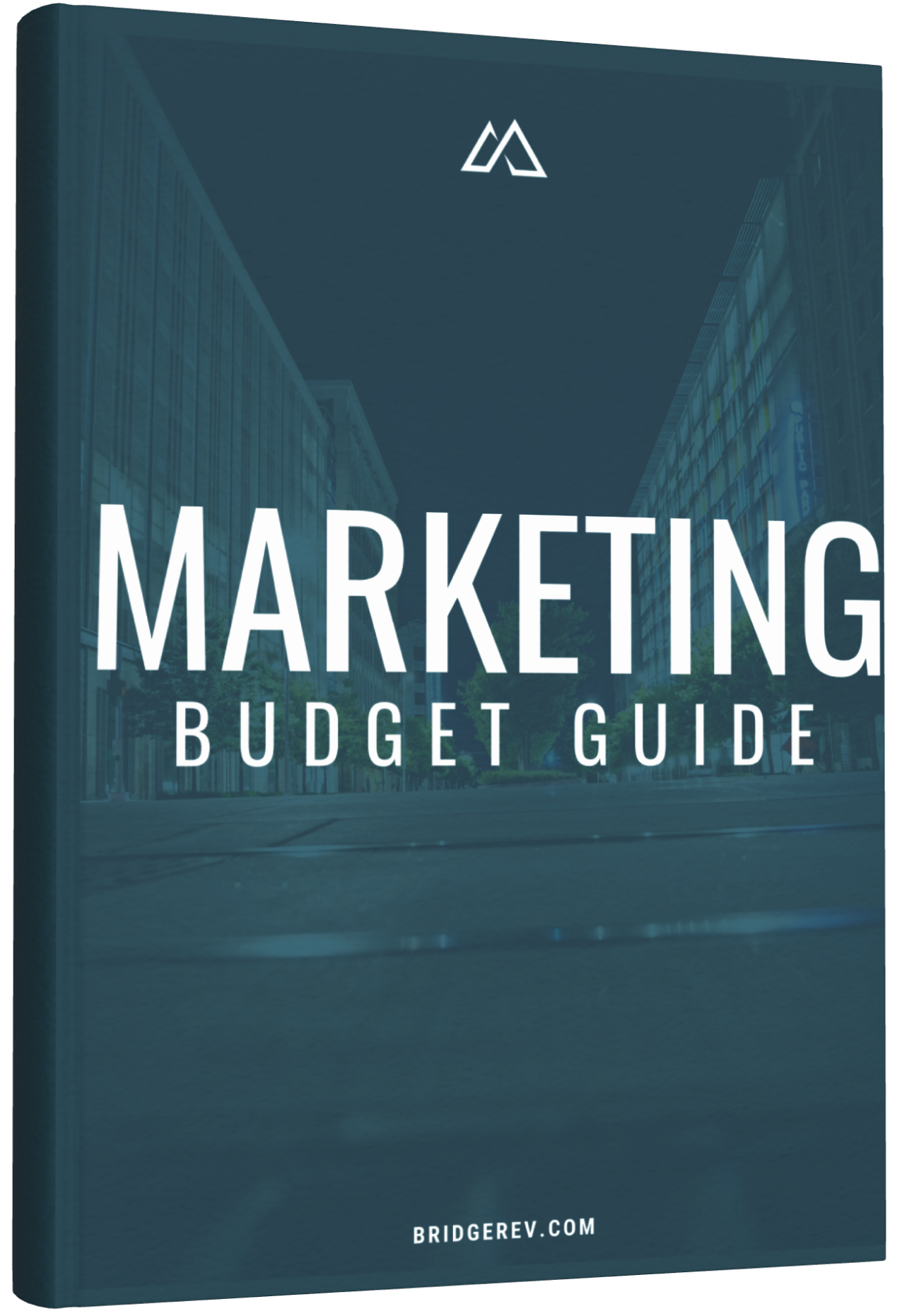 Offer - Marketing Budget